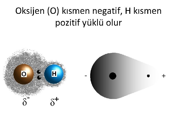 Oksijen (O) kısmen negatif, H kısmen pozitif yüklü olur 