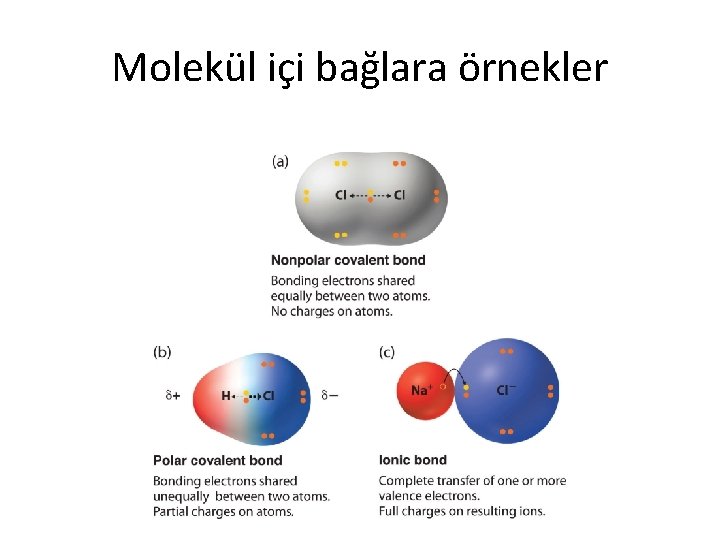 Molekül içi bağlara örnekler 