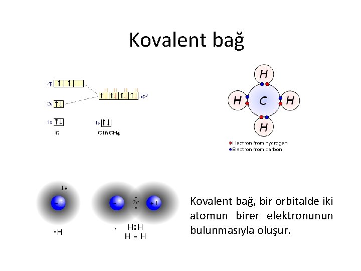 Kovalent bağ, bir orbitalde iki atomun birer elektronunun bulunmasıyla oluşur. 