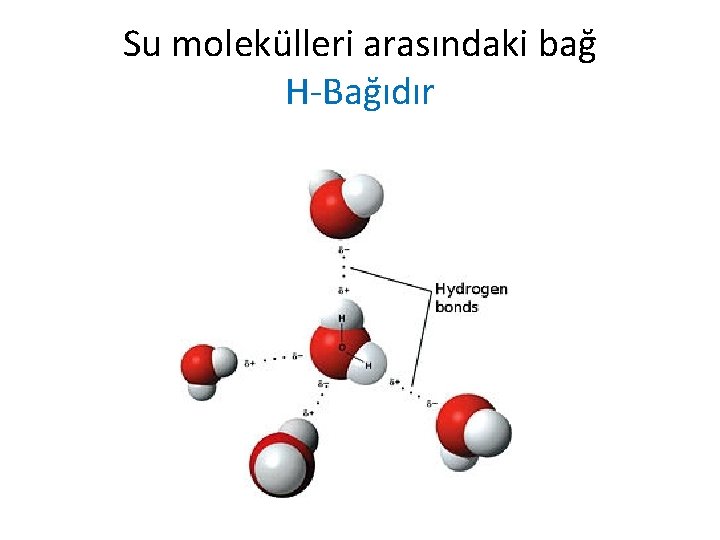 Su molekülleri arasındaki bağ H-Bağıdır 