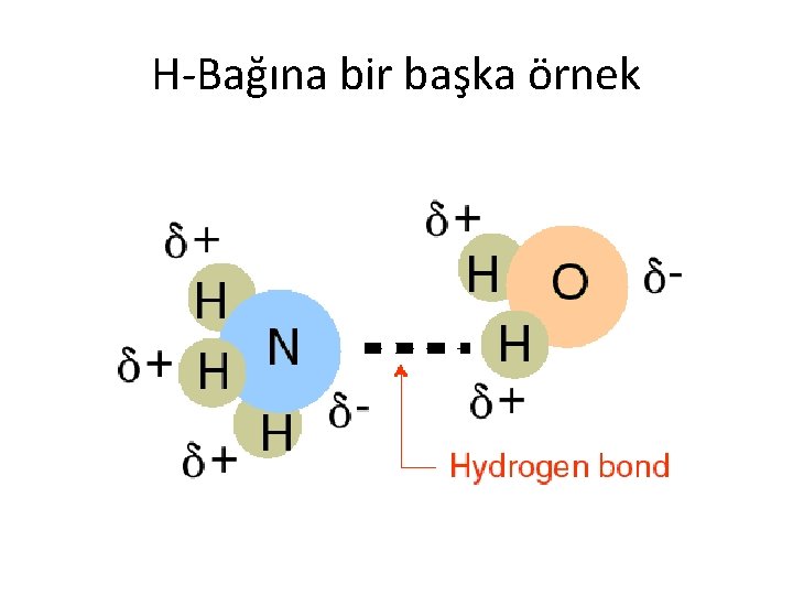 H-Bağına bir başka örnek 