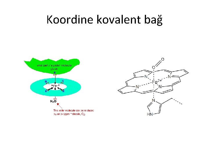 Koordine kovalent bağ 