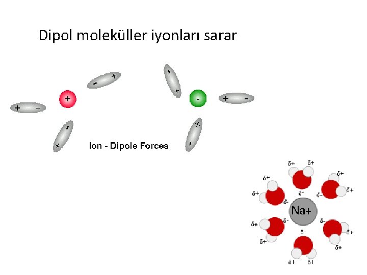 Dipol moleküller iyonları sarar 