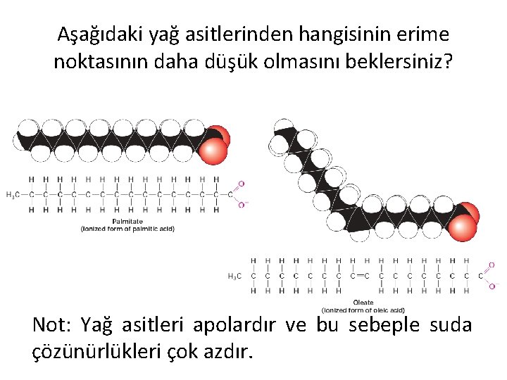 Aşağıdaki yağ asitlerinden hangisinin erime noktasının daha düşük olmasını beklersiniz? Not: Yağ asitleri apolardır