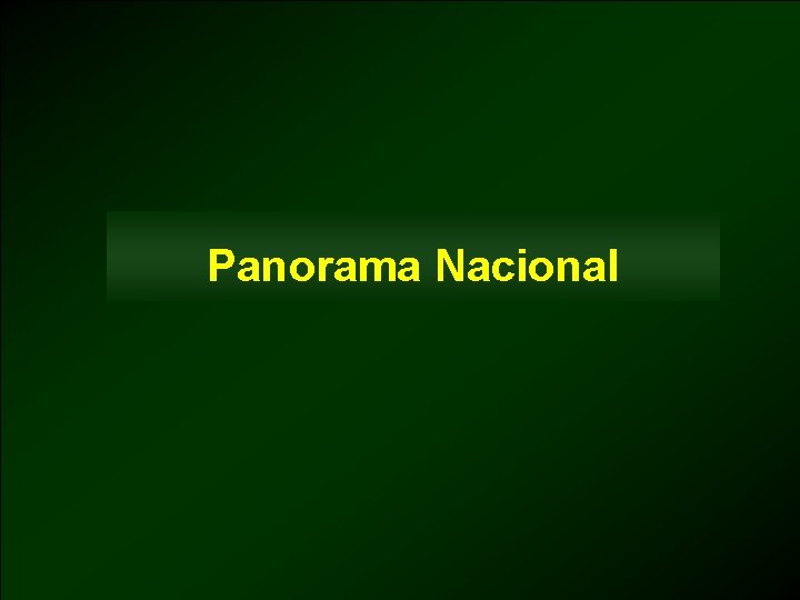 Panorama Nacional 