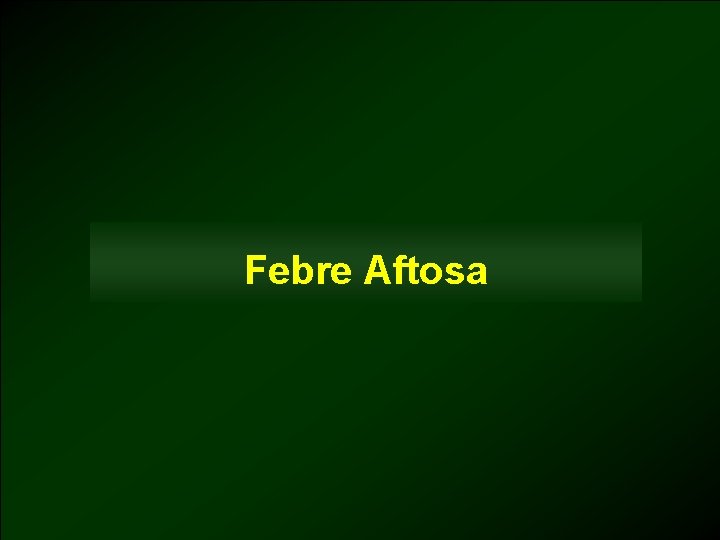 Febre Aftosa 