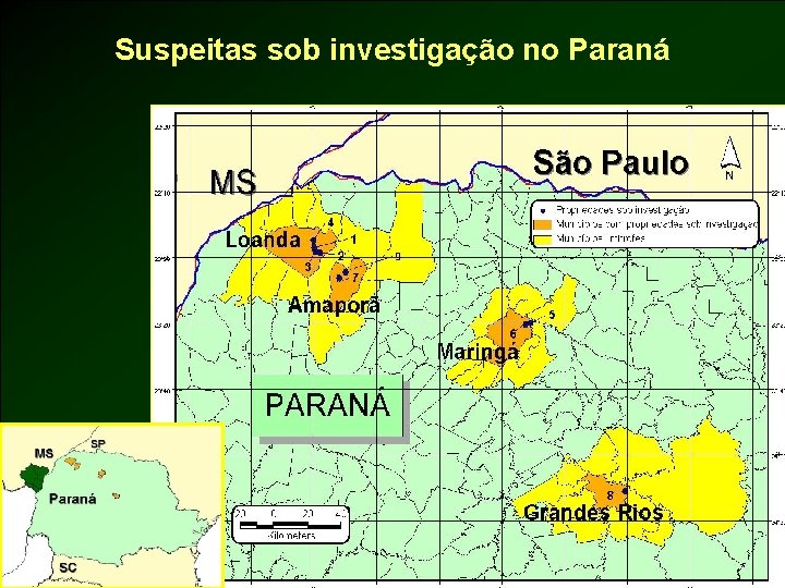 Suspeitas sob investigação no Paraná 