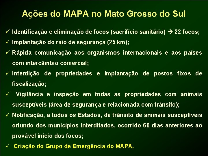 Ações do MAPA no Mato Grosso do Sul ü Identificação e eliminação de focos