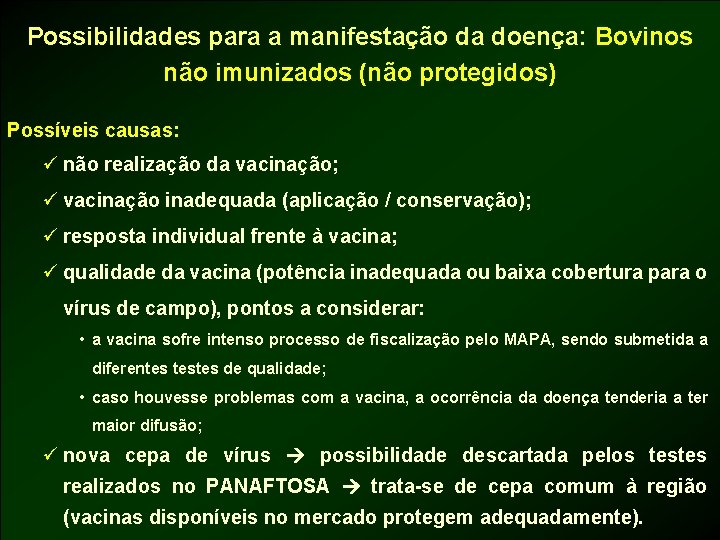 Possibilidades para a manifestação da doença: Bovinos não imunizados (não protegidos) Possíveis causas: ü