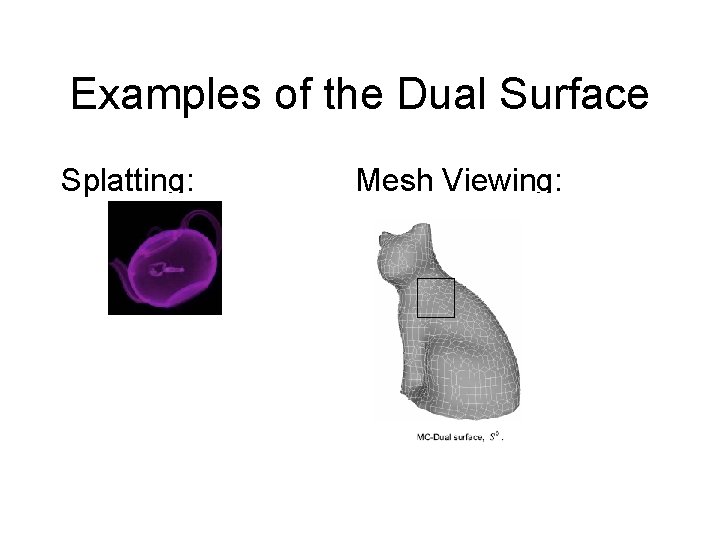 Examples of the Dual Surface Splatting: Mesh Viewing: 
