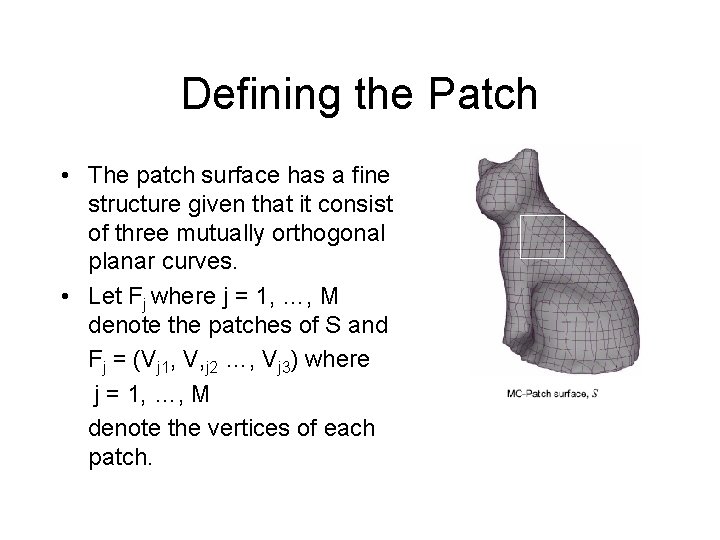 Defining the Patch • The patch surface has a fine structure given that it