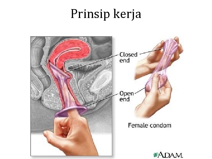 Prinsip kerja 