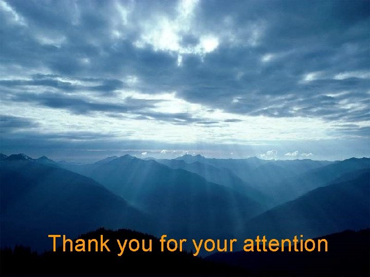 Thank you for your attention 