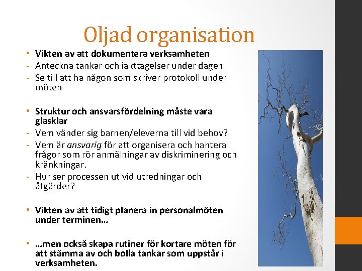 Oljad organisation • Vikten av att dokumentera verksamheten - Anteckna tankar och iakttagelser under