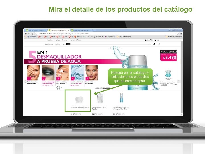 Mira el detalle de los productos del catálogo Navega por el catálogo y selecciona