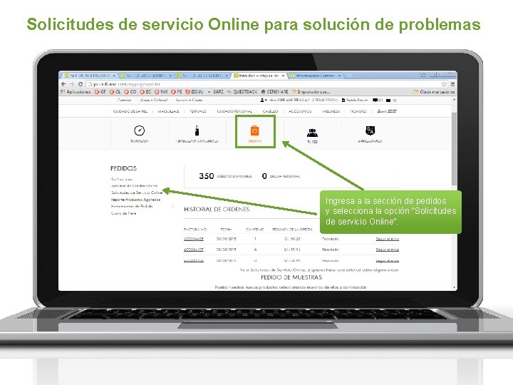 Solicitudes de servicio Online para solución de problemas Ingresa a la sección de pedidos