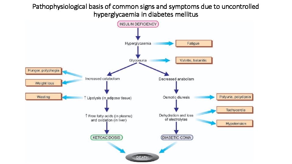 Pathophysiological basis of common signs and symptoms due to uncontrolled hyperglycaemia in diabetes mellitus