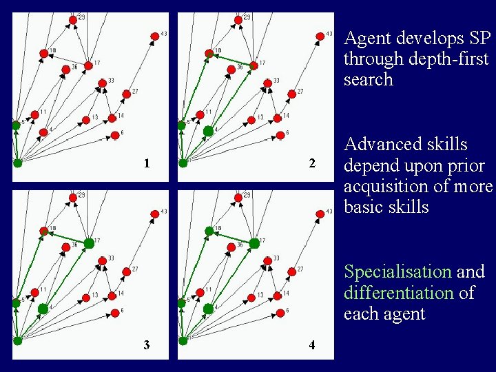 Agent develops SP through depth-first search 1 2 Advanced skills depend upon prior acquisition