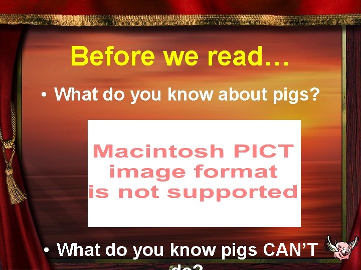 Before we read… • What do you know about pigs? • What do you