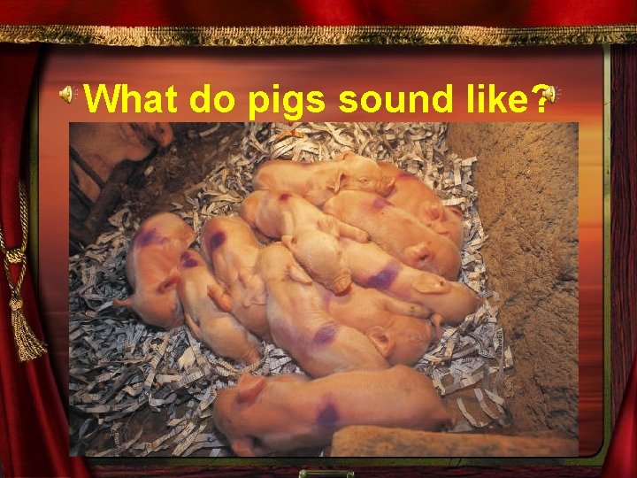 What do pigs sound like? 