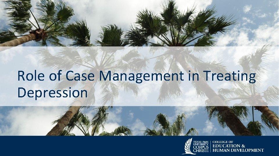 Role of Case Management in Treating Depression 