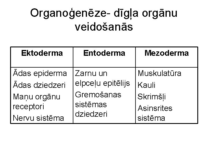 Organoģenēze- dīgļa orgānu veidošanās Ektoderma Entoderma Ādas epiderma Ādas dziedzeri Maņu orgānu receptori Nervu