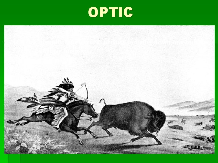 OPTIC It would usually take several arrows to bring down one buffalo because of