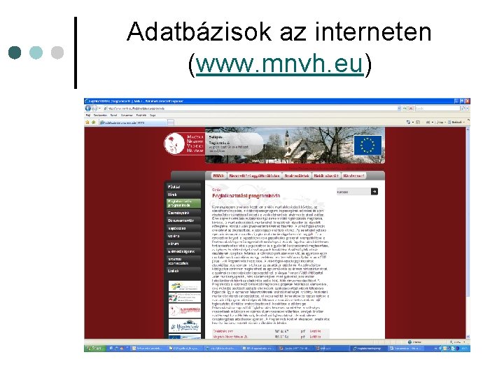 Adatbázisok az interneten (www. mnvh. eu) 