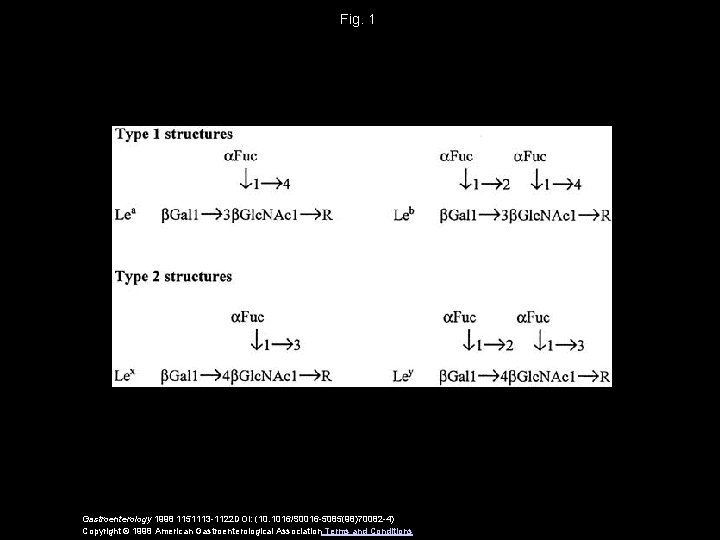 Fig. 1 Gastroenterology 1998 1151113 -1122 DOI: (10. 1016/S 0016 -5085(98)70082 -4) Copyright ©