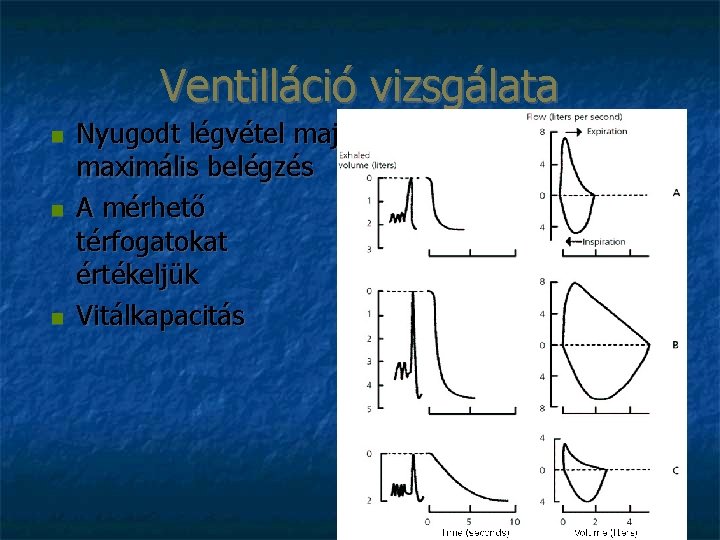 Ventilláció vizsgálata Nyugodt légvétel majd maximális belégzés A mérhető térfogatokat értékeljük Vitálkapacitás 