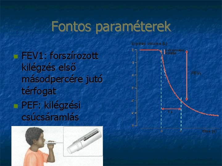 Fontos paraméterek FEV 1: forszírozott kilégzés első másodpercére jutó térfogat PEF: kilégzési csúcsáramlás 