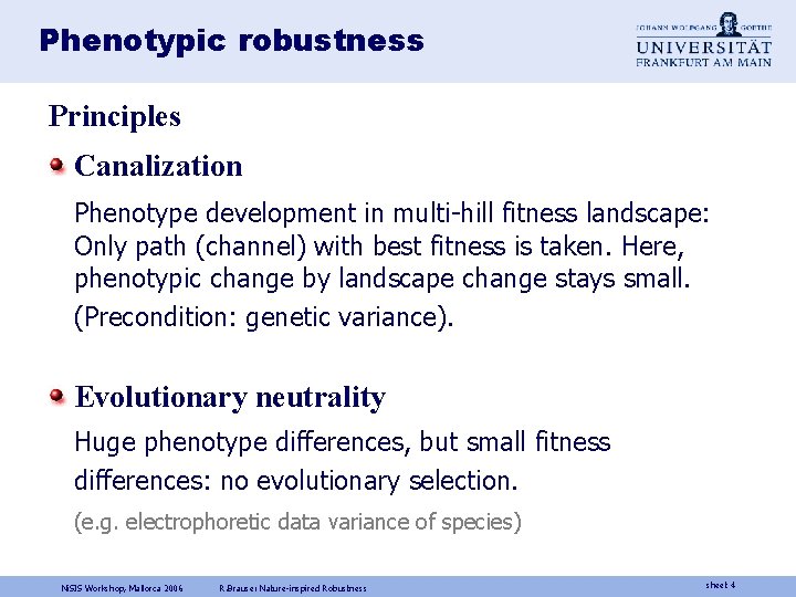 Phenotypic robustness Principles Canalization Phenotype development in multi-hill fitness landscape: Only path (channel) with