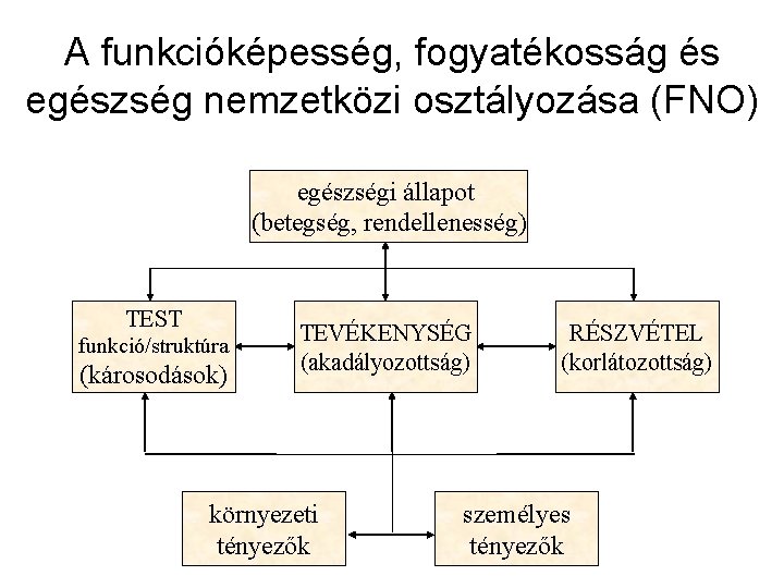 A funkcióképesség, fogyatékosság és egészség nemzetközi osztályozása (FNO) egészségi állapot (betegség, rendellenesség) TEST funkció/struktúra