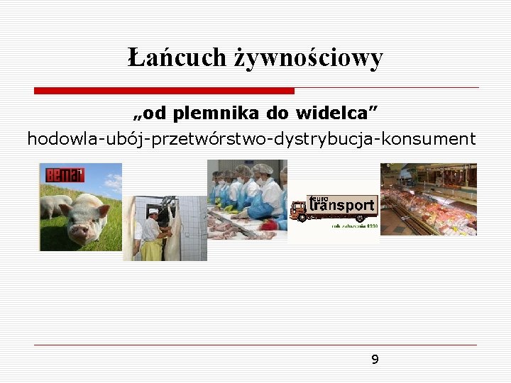 Łańcuch żywnościowy „od plemnika do widelca” hodowla-ubój-przetwórstwo-dystrybucja-konsument 9 