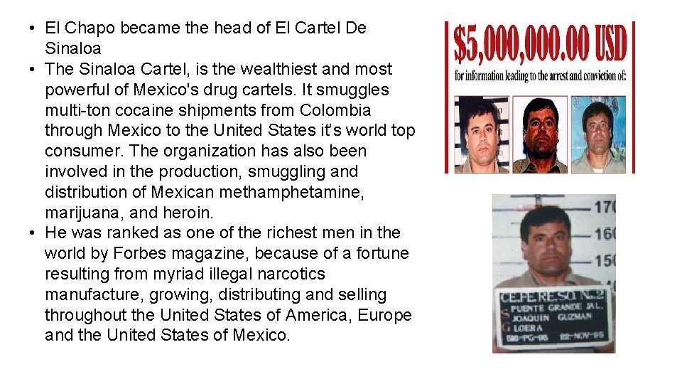  • El Chapo became the head of El Cartel De Sinaloa • The