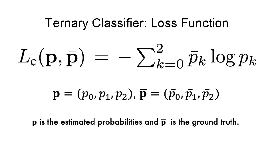 Ternary Classifier: Loss Function 