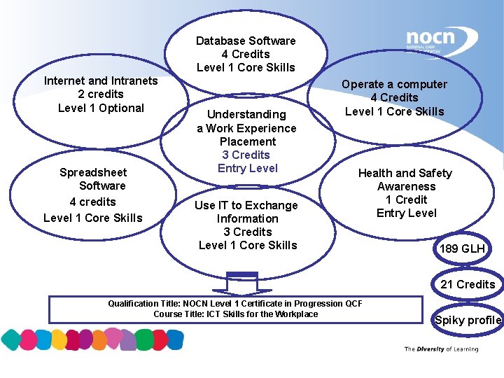 Database Software 4 Credits Level 1 Core Skills Internet and Intranets 2 credits Level