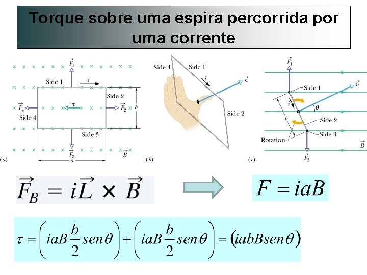Torque sobre uma espira percorrida por uma corrente 