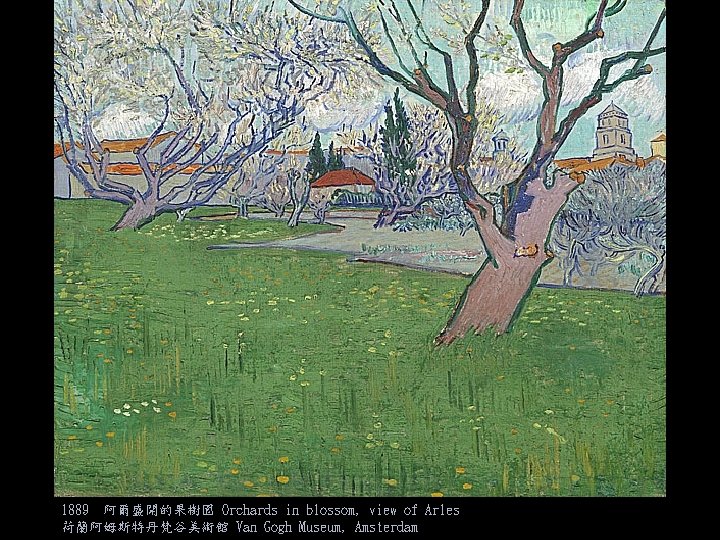 1889 阿爾盛開的果樹園 Orchards in blossom, view of Arles 荷蘭阿姆斯特丹梵谷美術館 Van Gogh Museum, Amsterdam 