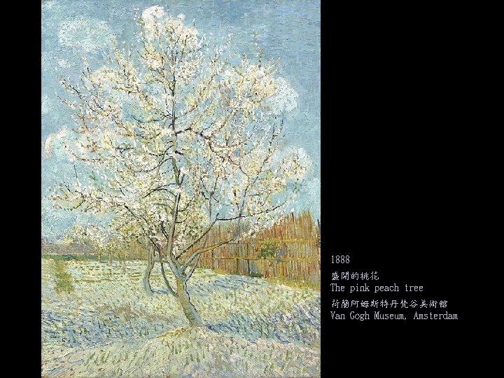 1888 盛開的桃花 The pink peach tree 荷蘭阿姆斯特丹梵谷美術館 Van Gogh Museum, Amsterdam 