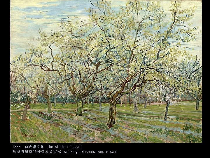 1888 白色果樹園 The white orchard 荷蘭阿姆斯特丹梵谷美術館 Van Gogh Museum, Amsterdam 