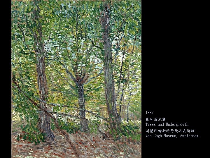 1887 樹和灌木叢 Trees and Undergrowth 荷蘭阿姆斯特丹梵谷美術館 Van Gogh Museum, Amsterdam 