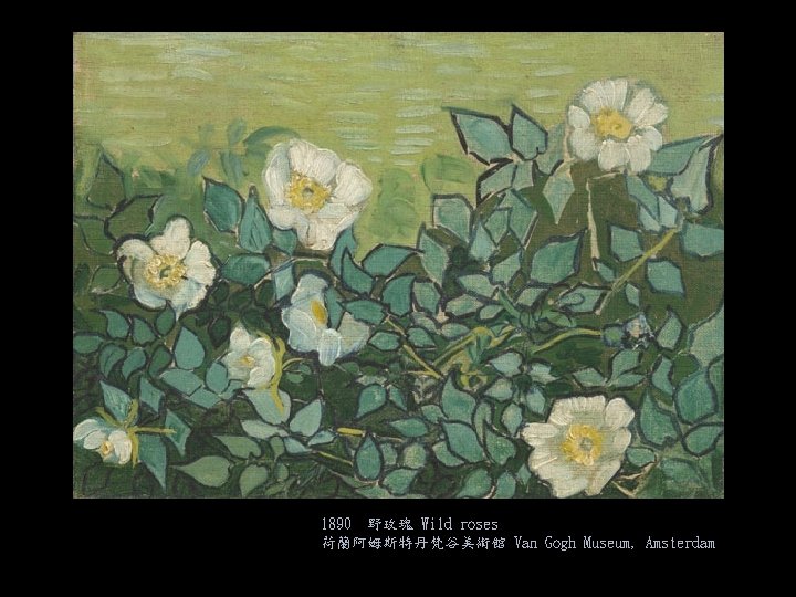1890 野玫瑰 Wild roses 荷蘭阿姆斯特丹梵谷美術館 Van Gogh Museum, Amsterdam 