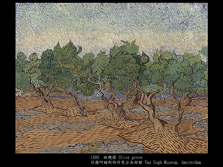 1889 橄欖園 Olive grove 荷蘭阿姆斯特丹梵谷美術館 Van Gogh Museum, Amsterdam 
