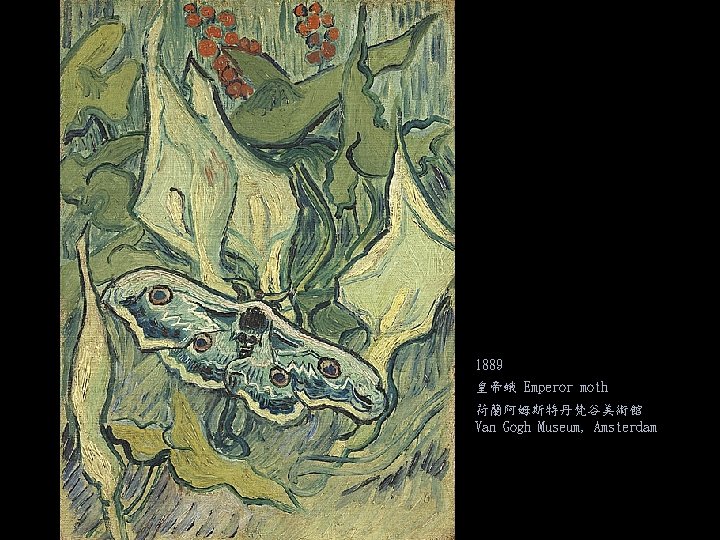1889 皇帝蛾 Emperor moth 荷蘭阿姆斯特丹梵谷美術館 Van Gogh Museum, Amsterdam 