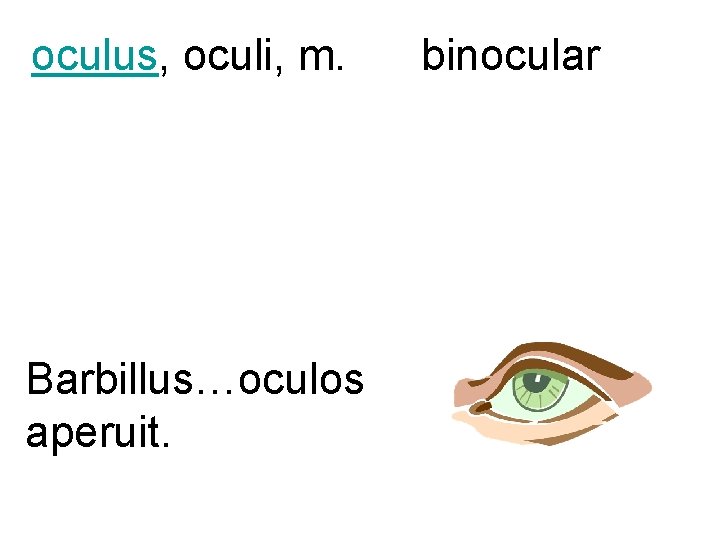 oculus, oculi, m. Barbillus…oculos aperuit. binocular 
