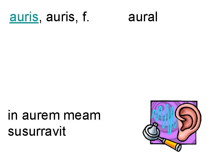 auris, f. in aurem meam susurravit aural 