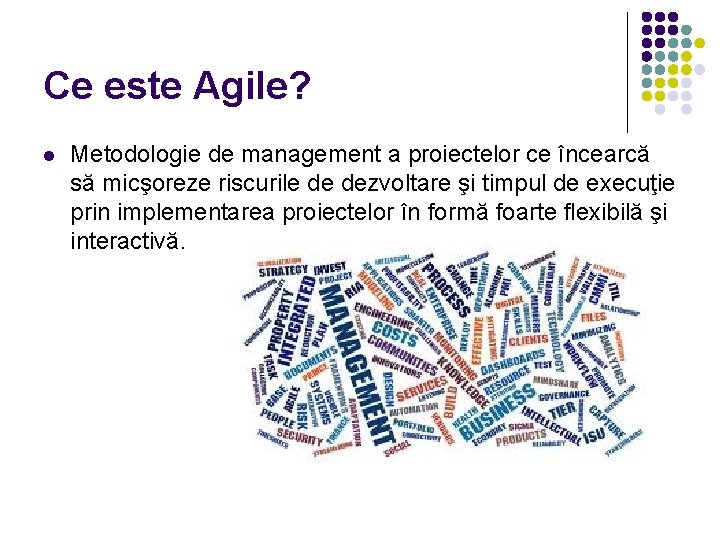 Ce este Agile? Metodologie de management a proiectelor ce încearcă să micşoreze riscurile de