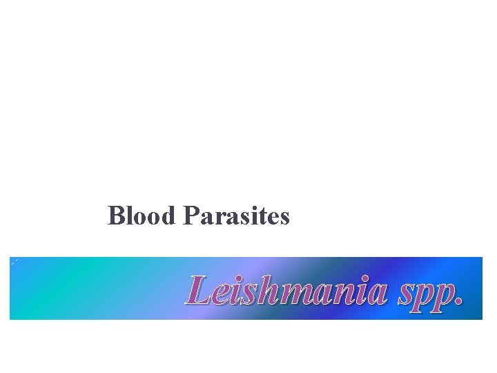 Blood Parasites Leishmania spp. 