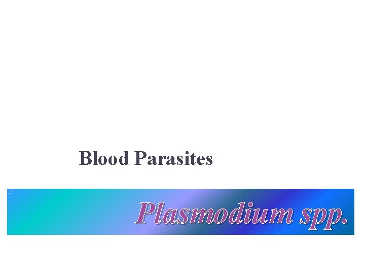 Blood Parasites Plasmodium spp. 